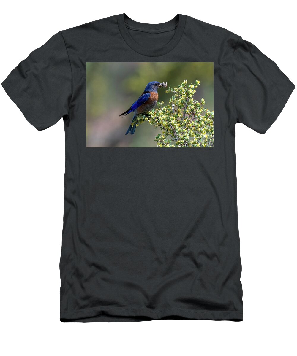 Kids Meal Delivered Mike Dawson T-Shirt