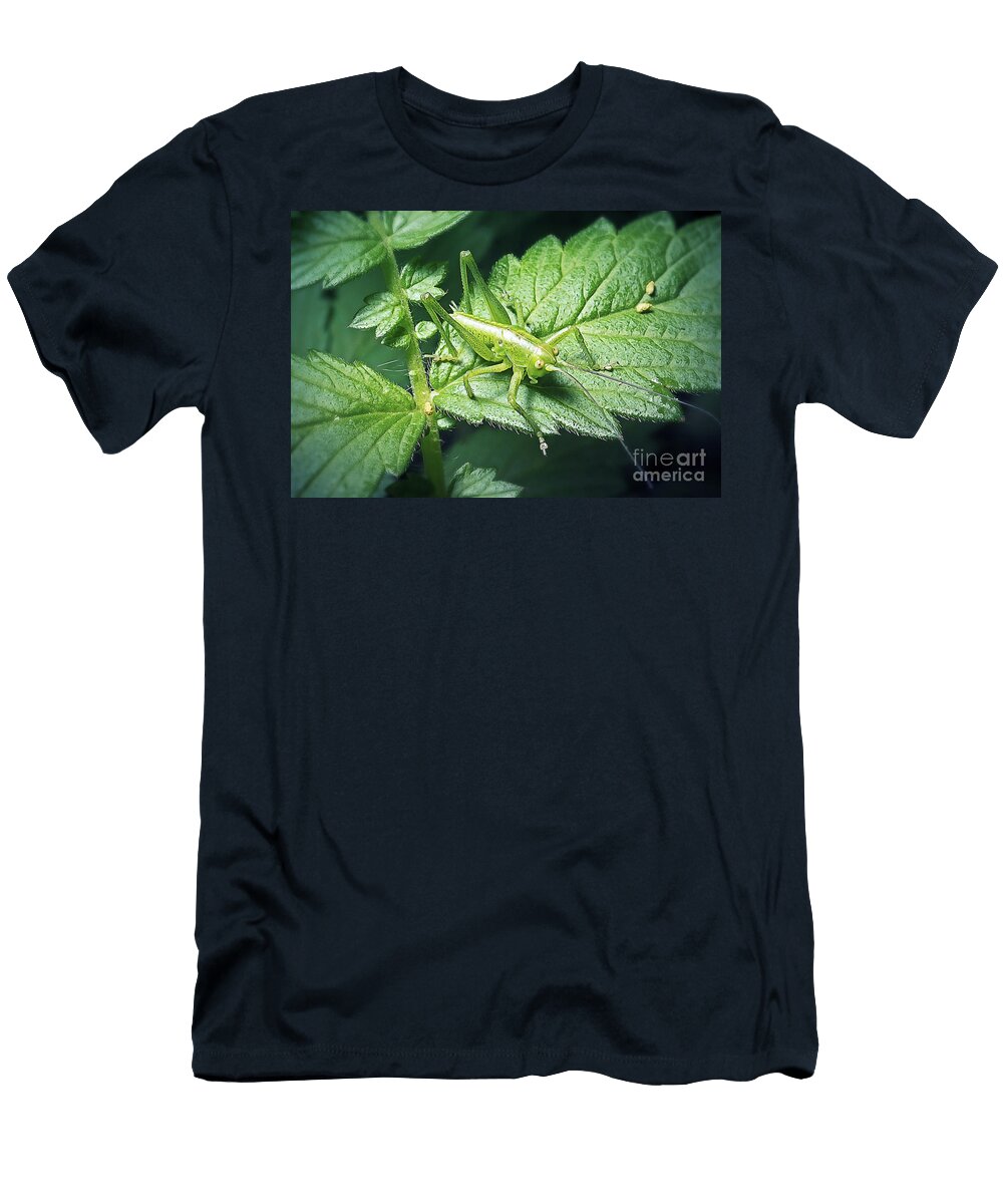 Leptophyes Punctatissima Speckled Bush Cricket Insect Frank Ramspott T-Shirt