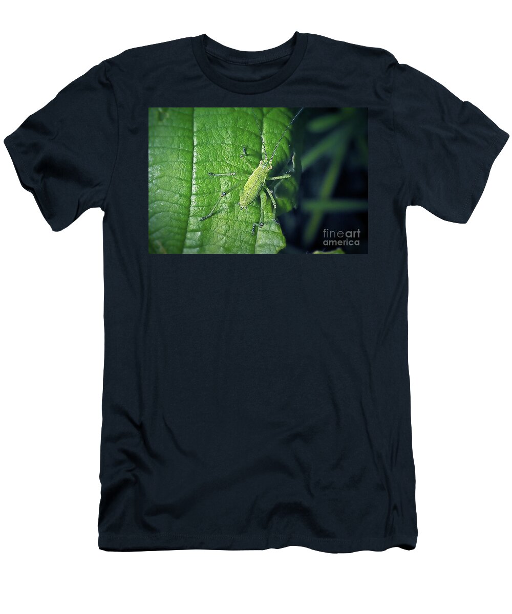 Leptophyes Punctatissima Speckled Bush Cricket Nymph Insect Frank Ramspott T-Shirt