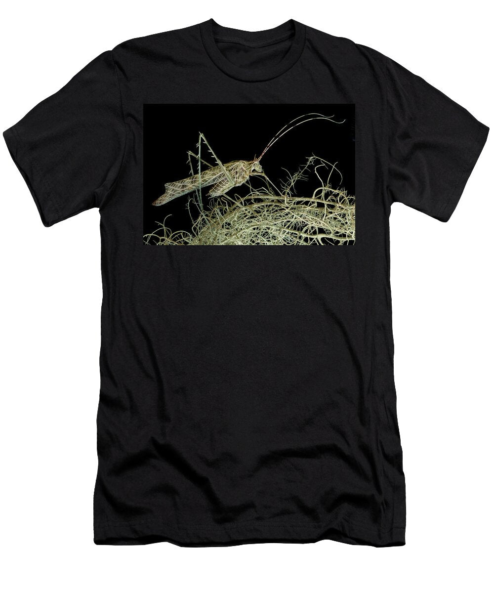 Lichen Katydid Camouflage in Lichens Sumaco National Park Lucas Bustamante Natureplcom T-Shirt
