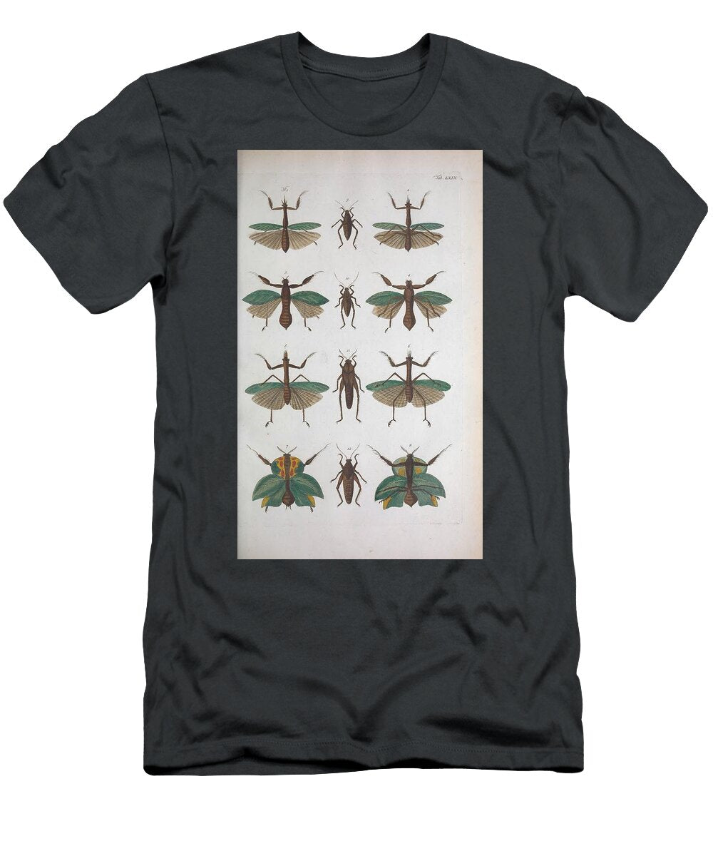 Locust Beautiful Nature Prints T-Shirt