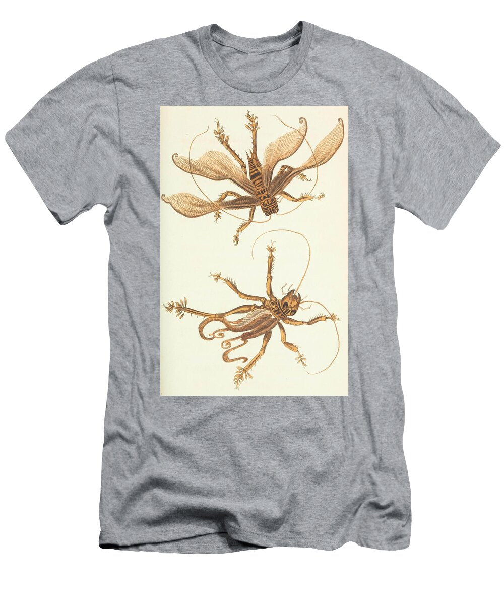 Locust Gryllus Beautiful Nature Prints T-Shirt