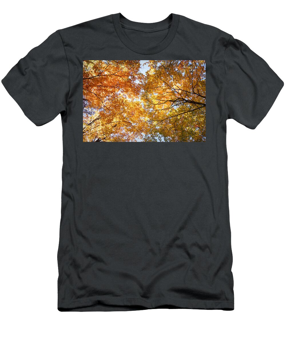 Look Up Cricket Hackmann T-Shirt