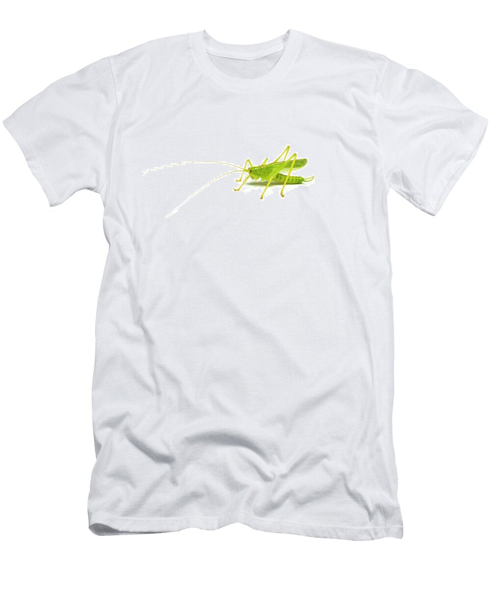 Male Oak Bush Cricket Monmouthshire Wales UK Chris Mattison Natureplcom T-Shirt