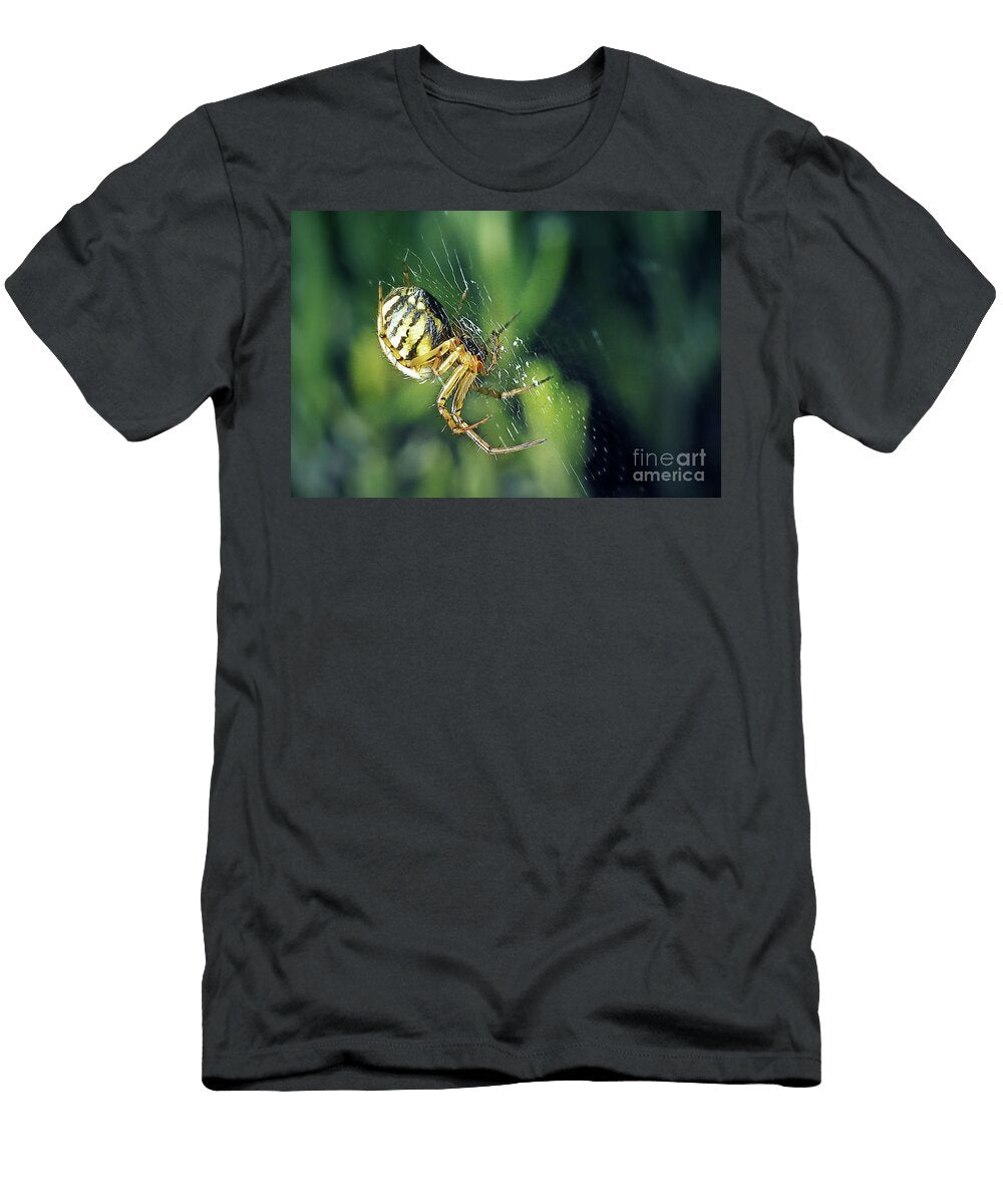 Mangora Acalypha Cricket Bat Orbweaver Spider Frank Ramspott T-Shirt