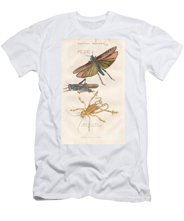 Migratory Locust and South American Cricket 1813 Engraving Unknown Artist T-Shirt