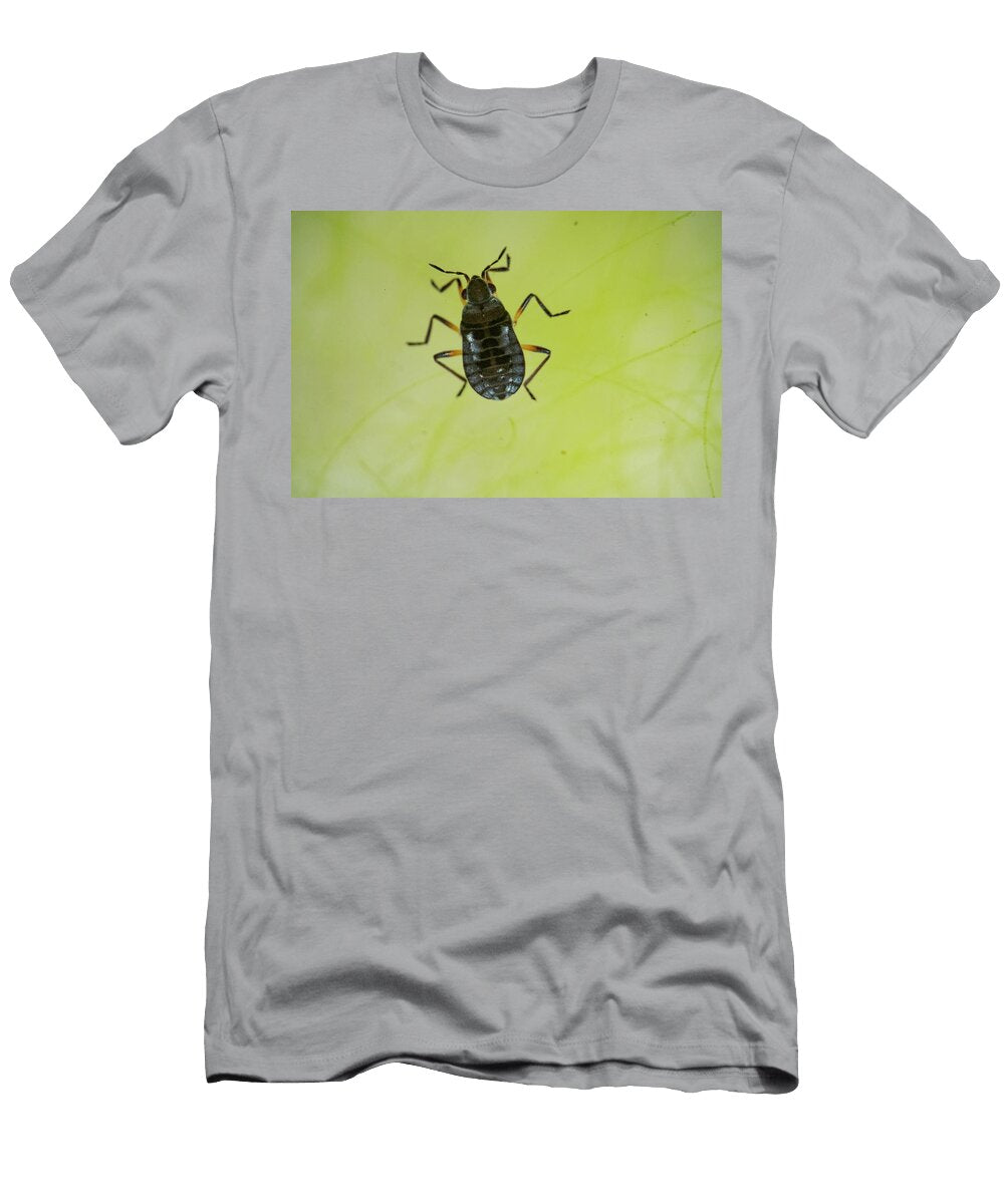 Minute Water Cricket Wingless Form on Water Lawn Pool Will Watson Natureplcom T-Shirt