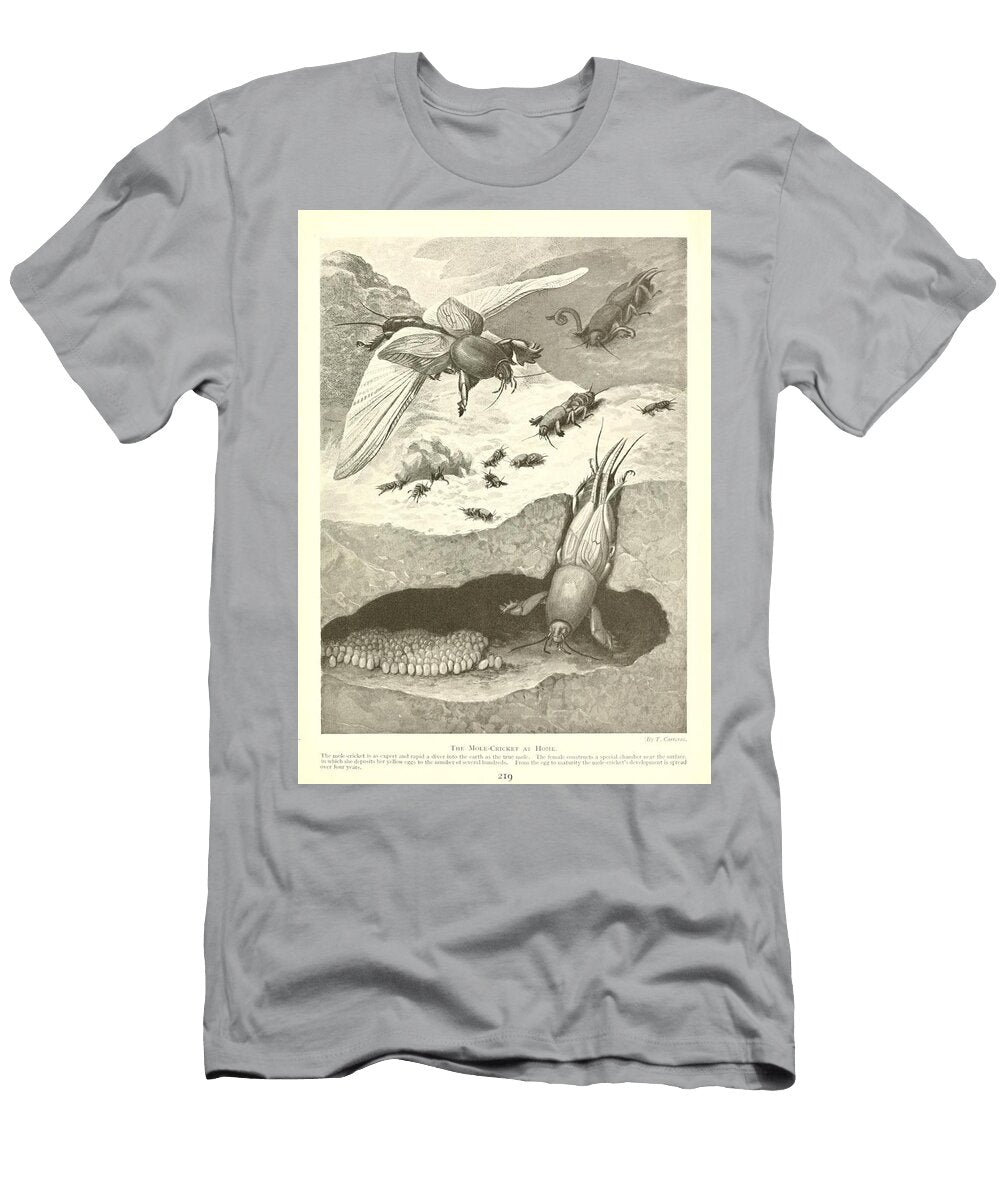 Mole Cricket Beautiful Nature Prints T-Shirt