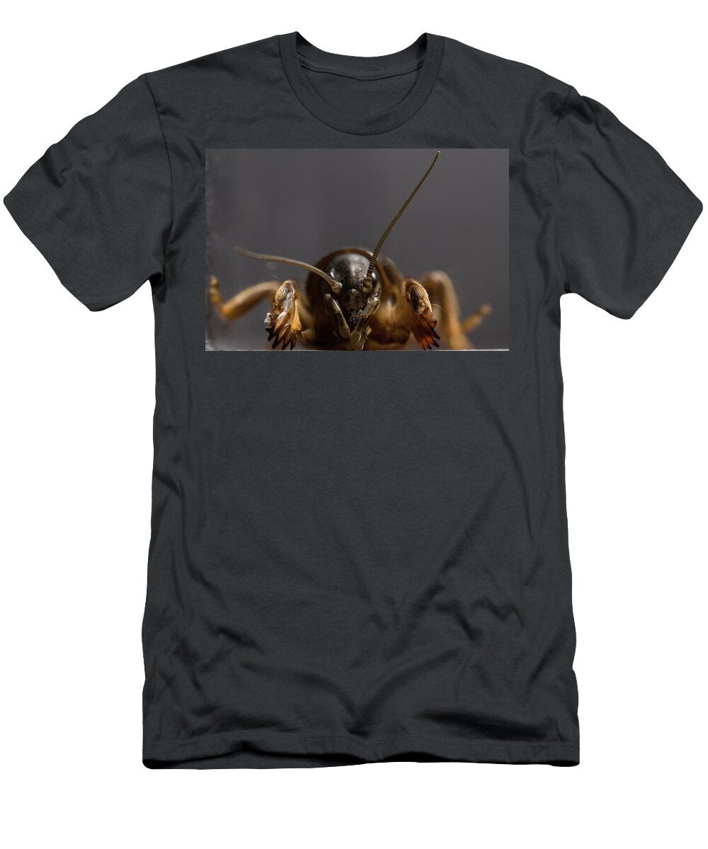 Mole Cricket Gryllotalpa Brachyptera Aaron Ansarov T-Shirt