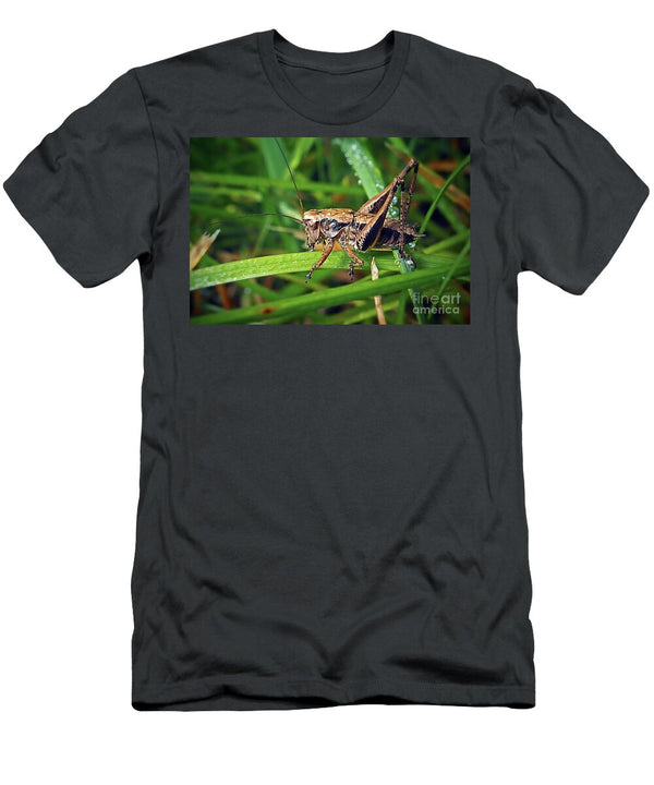 Pholidoptera Griseoaptera Dark Bush Cricket Insect Frank Ramspott T-Shirt