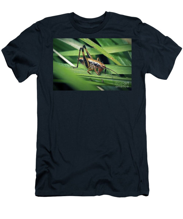 Pholidoptera Griseoaptera Dark Bush Cricket Nymph Insect Frank Ramspott T-Shirt