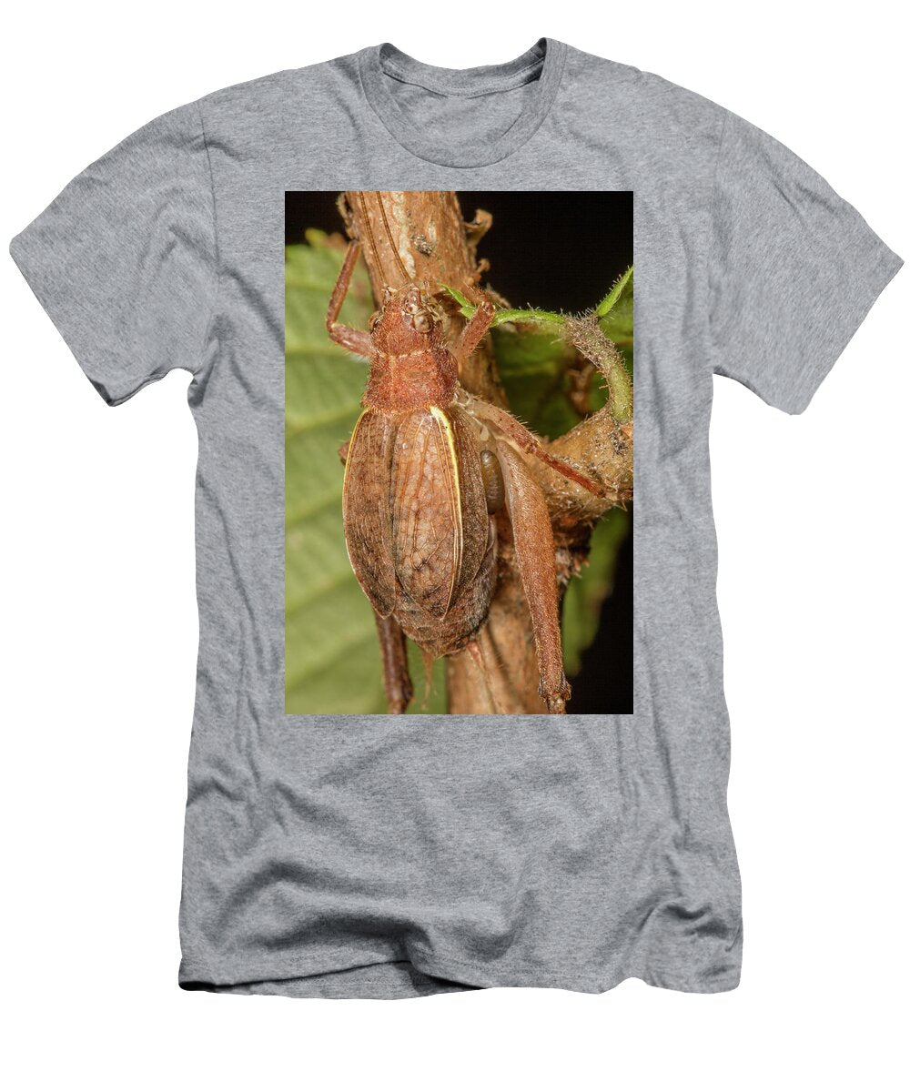 Restless Bush Cricket Resting on a Plant Stem with Doug Wechsler Natureplcom T-Shirt