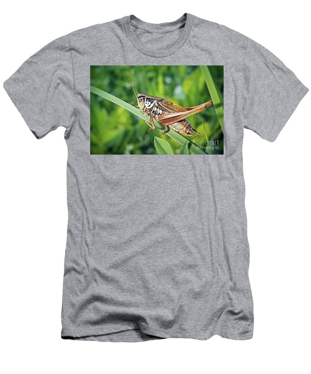 Roeseliana Roeselii Roesels Bush Cricket Insect Frank Ramspott T-Shirt