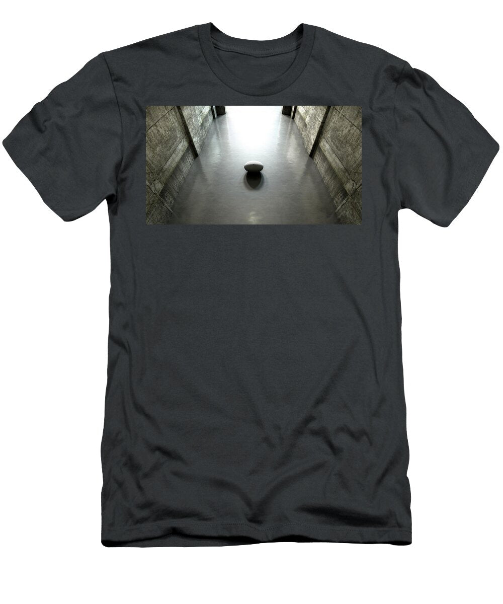 Rugby Ball Sports Stadium Tunnel Allan Swart T-Shirt