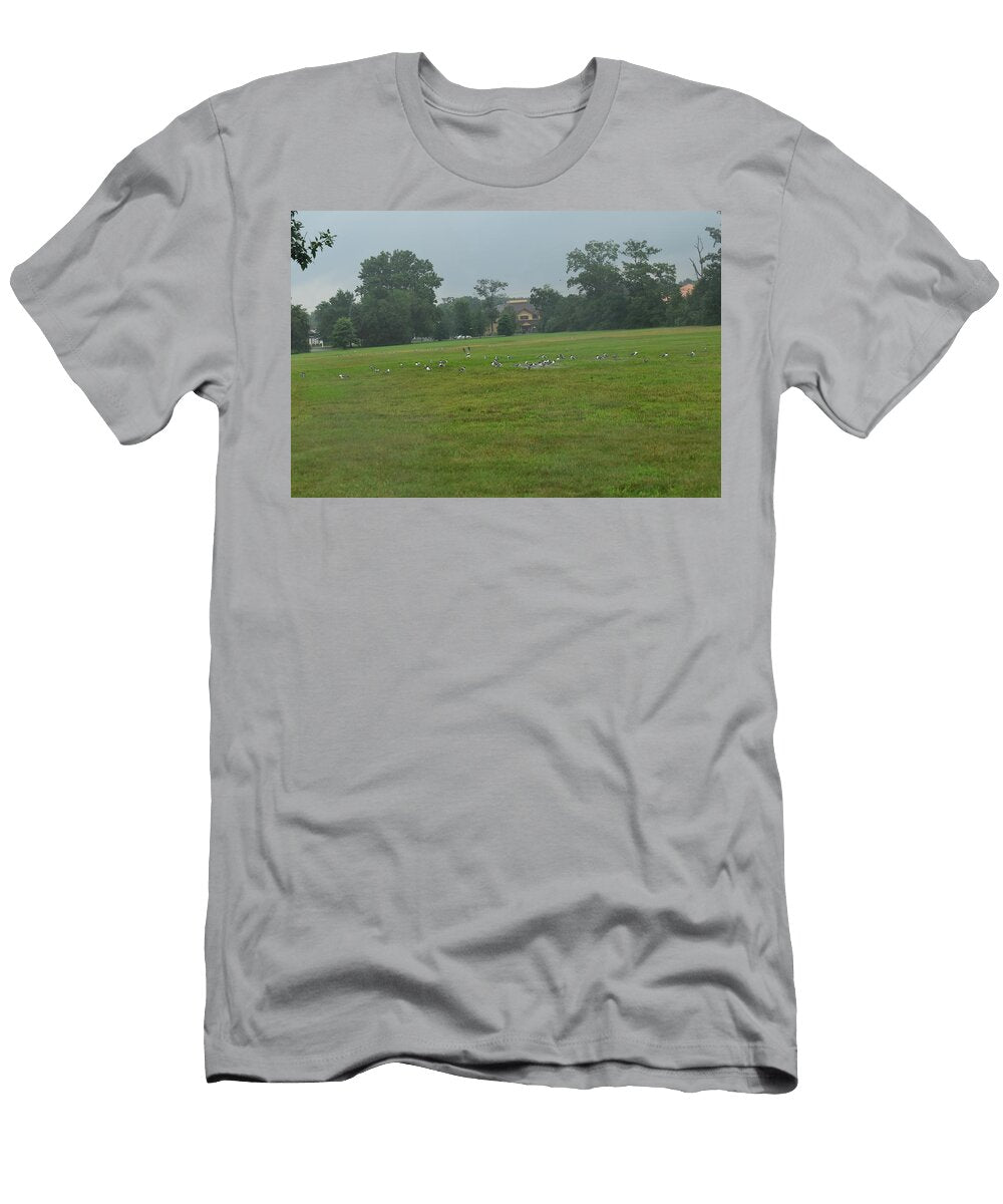 Sea Gull Touchdown Jim Munroe T-Shirt