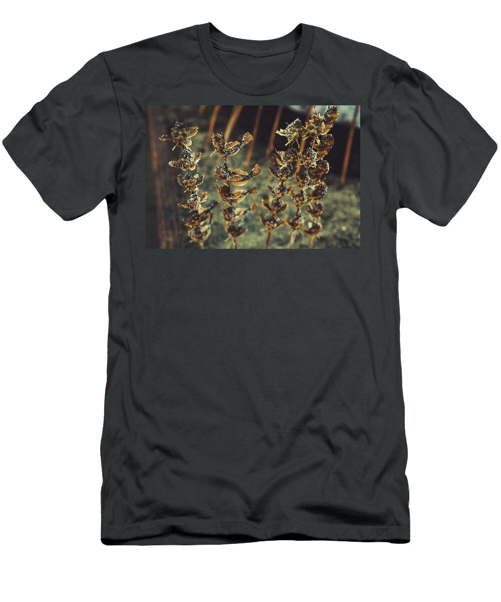 Skewers of Grilled Mini Fish Alfonso Calero T-Shirt