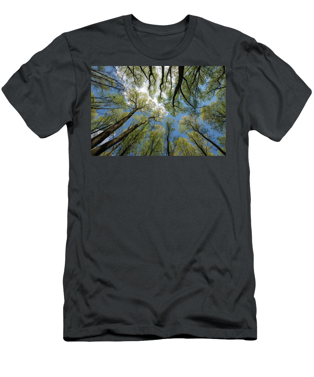 Tall Cricket Bat Willows Trees with Leaves and Catkins Will Watson Natureplcom T-Shirt