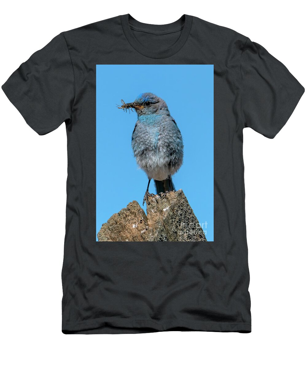 Tattered Blue Mike Dawson T-Shirt