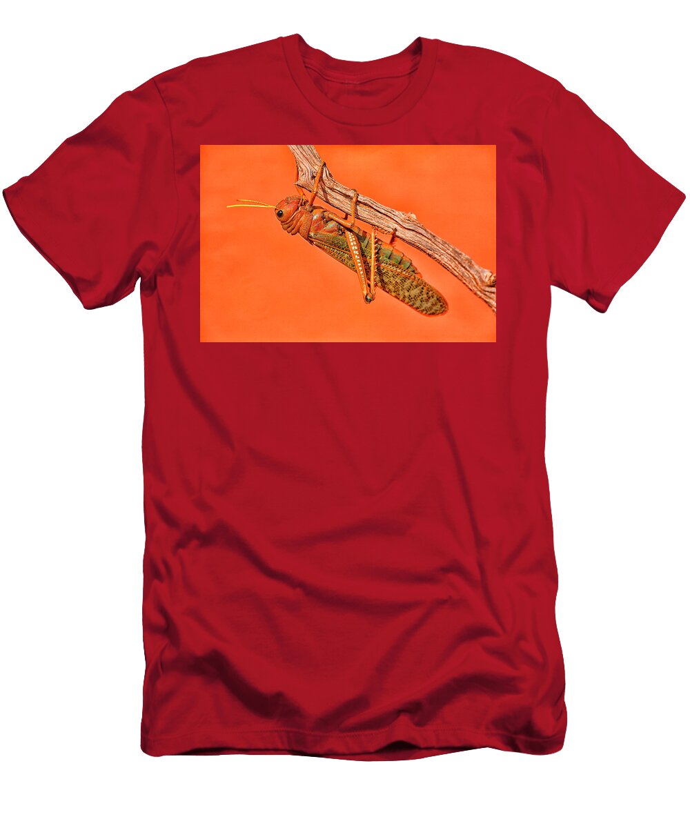The Locusts Acrididae Popularly Known David Santiago Garcia T-Shirt