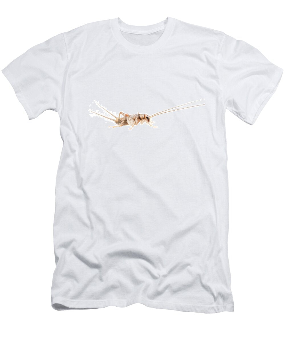 Tropical House Cricket Male the Netherlands July Myn Paul Van Hoof Natureplcom T-Shirt