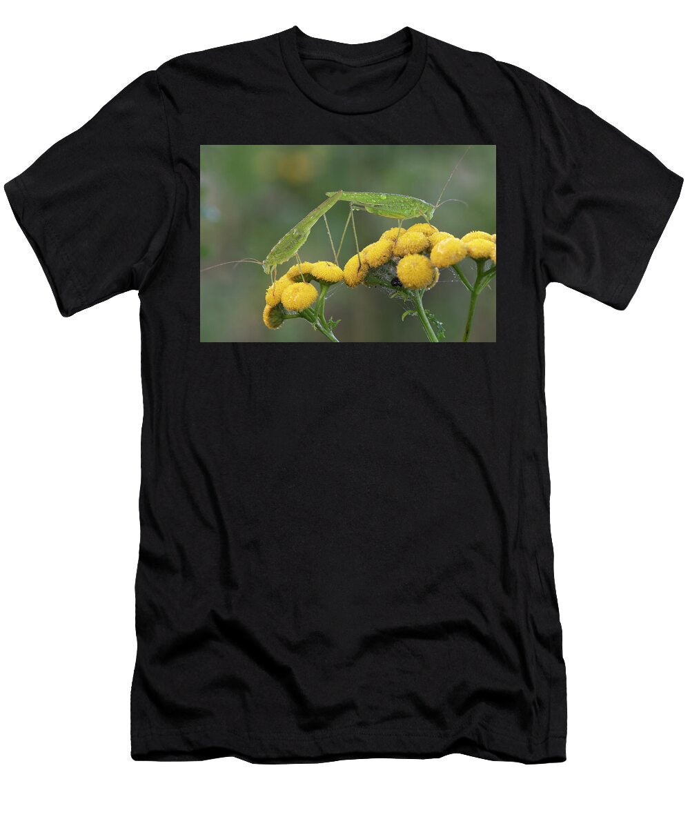 Two Crickets Feeding on Tansy in the Rain Klein Schietveld Bernard Castelein Natureplcom T-Shirt