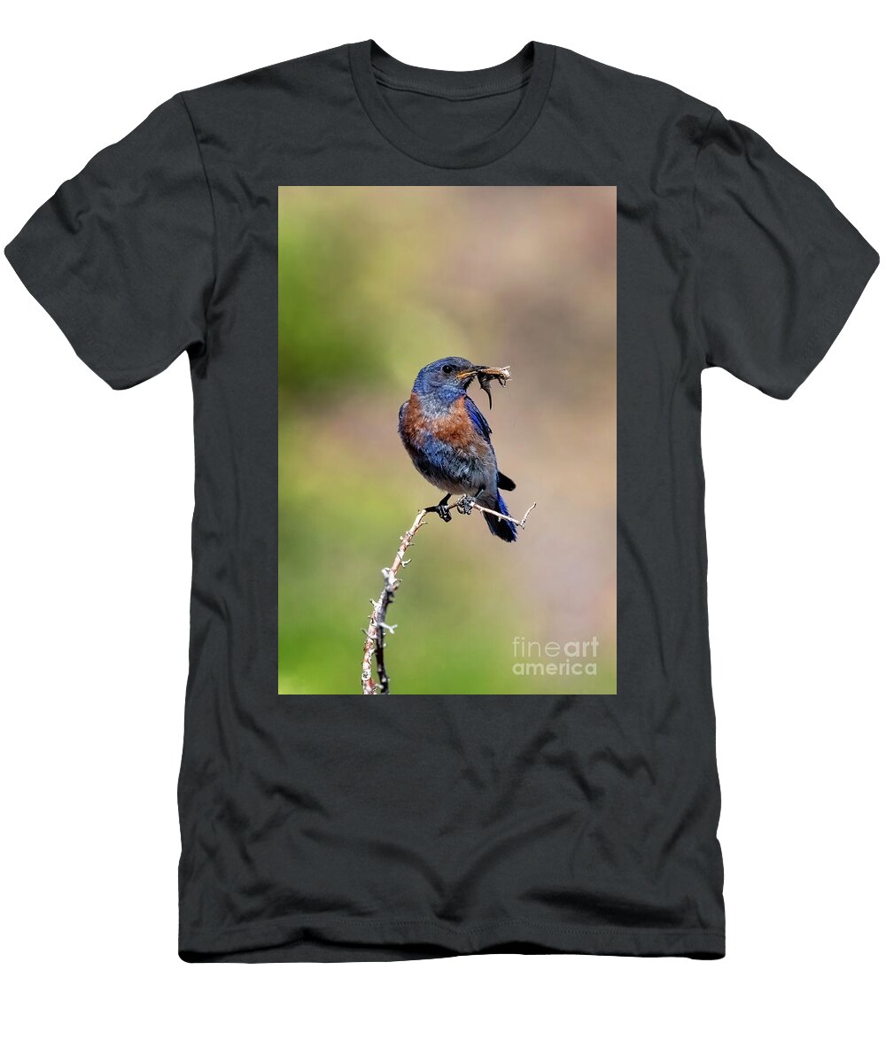 Western Blue Delivers Michael Dawson T-Shirt