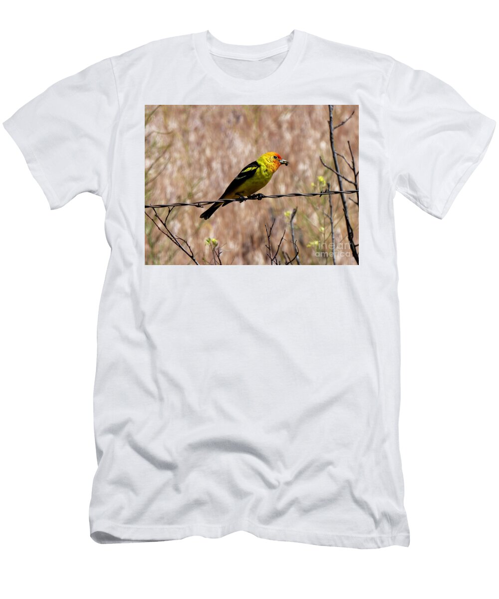 Western Tanager Meal Michael Dawson T-Shirt