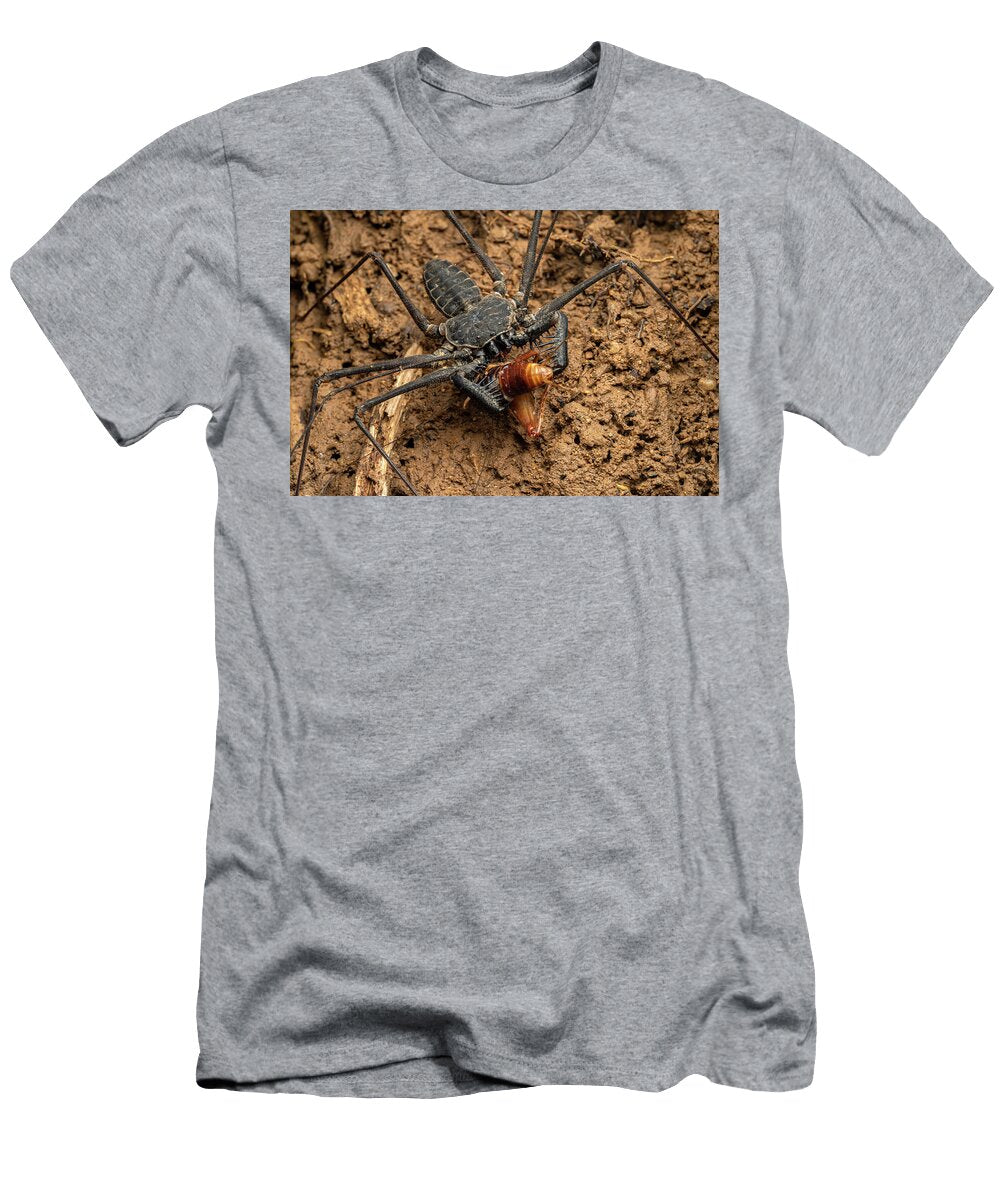 Whipspider Clutching Its Cricket Prey Osa Peninsula Costa Roman Willi Natureplcom T-Shirt