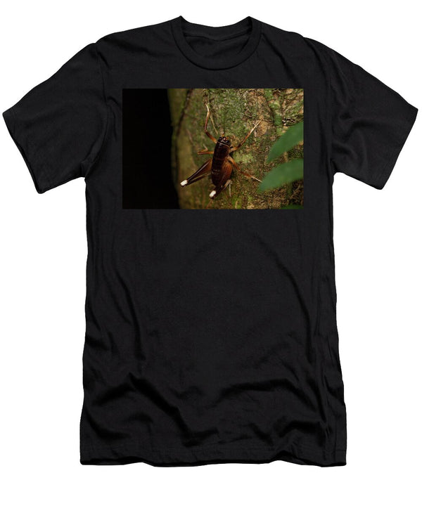 White Kneed King Cricket on Tree Trunk At Night Bruce Thomson Natureplcom T-Shirt