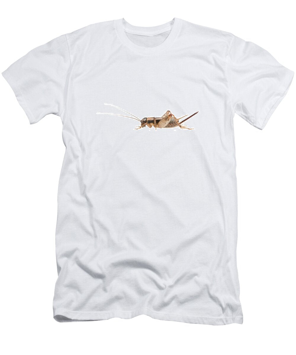Wood Cricket Female the Netherlands August Myn Paul Van Hoof Natureplcom T-Shirt